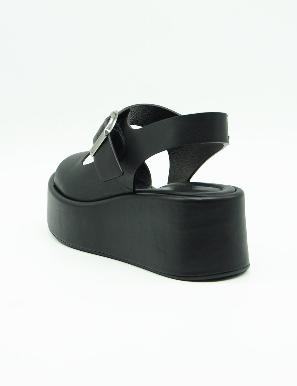 Curiosité Zeppa Nera