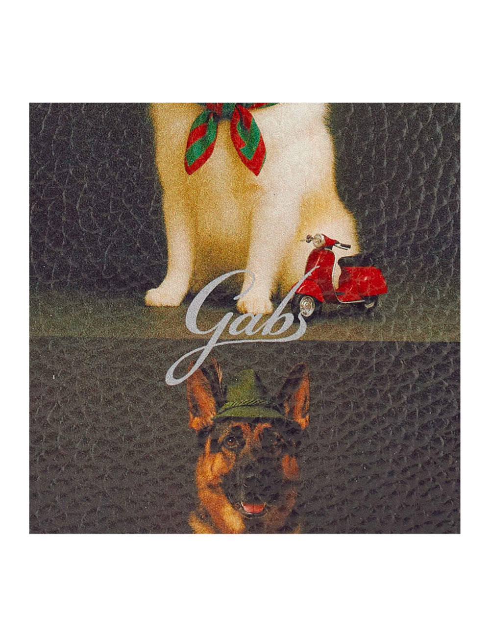 Gabs beyoncè tg m pet lovers dogs grey con scooter giocattolo rosso e gatto bianco con sciarpa verde e rossa