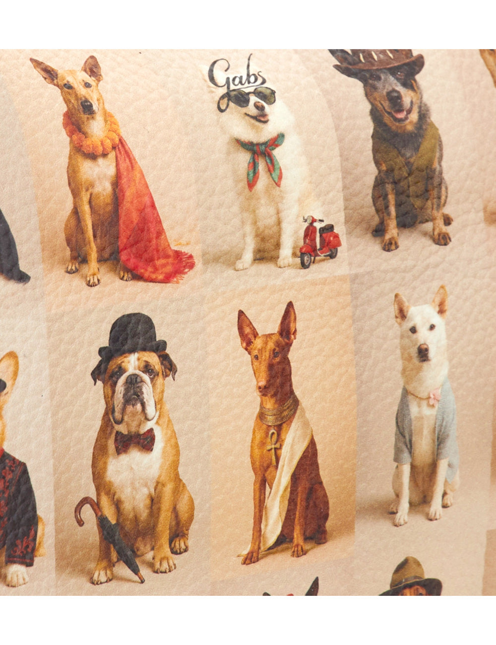 Tessuto beige gabs beyoncè tg m con stampa di cani alla moda in varie pose per amanti degli animali